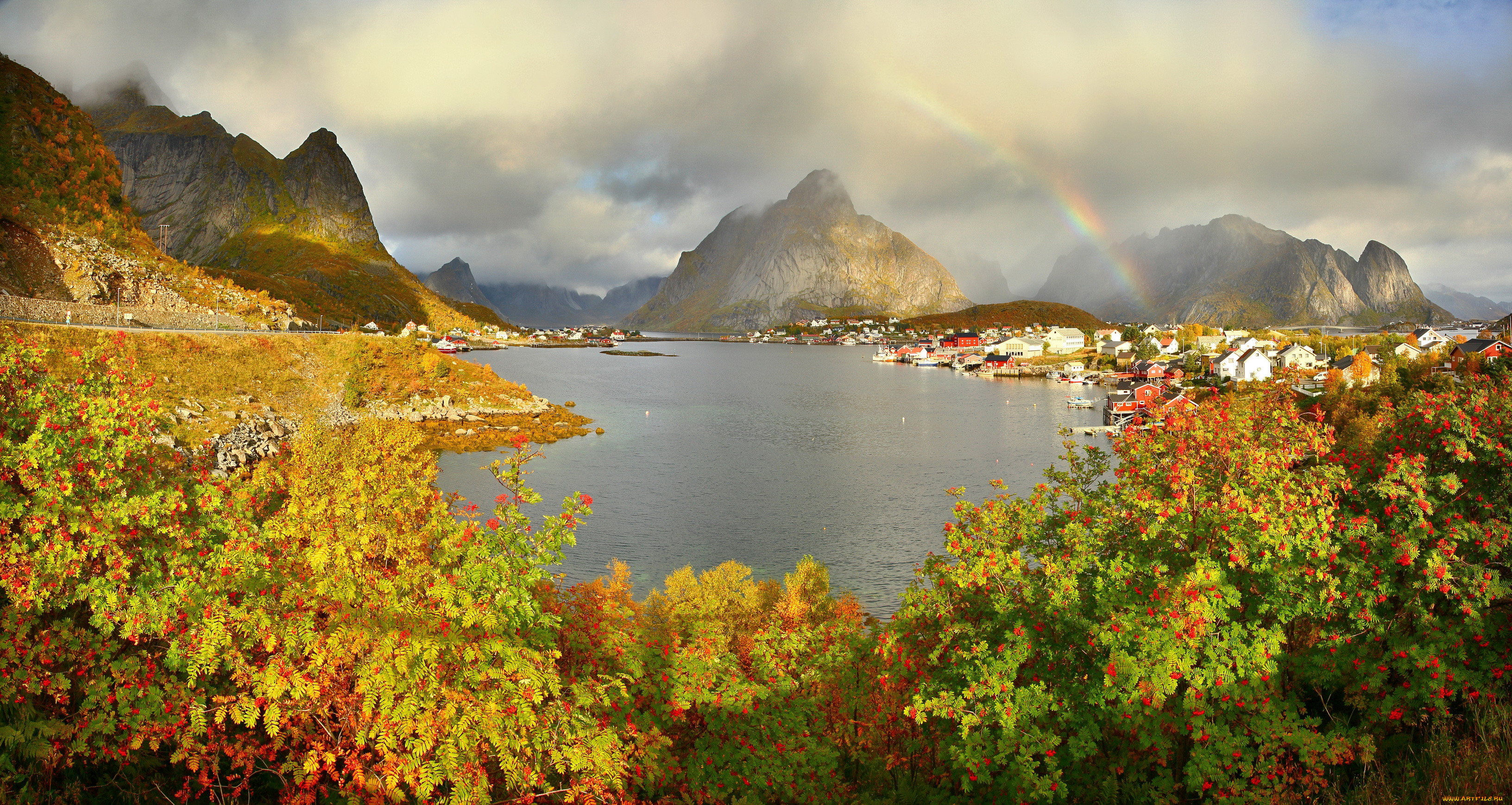 reine, gravdalsbukta, , , , , , , 